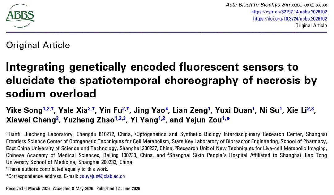 ABBSjournal's tweet photo. Integrating genetically encoded fluorescent sensors to elucidate the spatiotemporal choreography of necrosis by sodium overload
https://t.co/coQ2hLWk2w

#energy_metabolism #mitochondrial_oxidative_stress #necrocide_1 #TRPM4 #sodium-potassium_exchanges https://t.co/xzkIYYDFSg