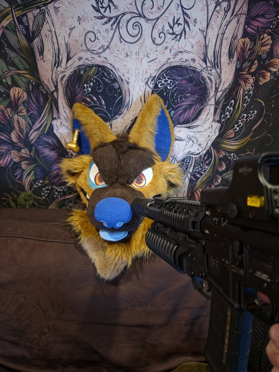 maliceshep's tweet photo. Stick em up https://t.co/00M1FJSFst