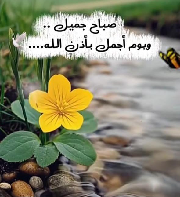 sarila24's tweet photo. @boslman70 https://t.co/Gdcs8s9jbA