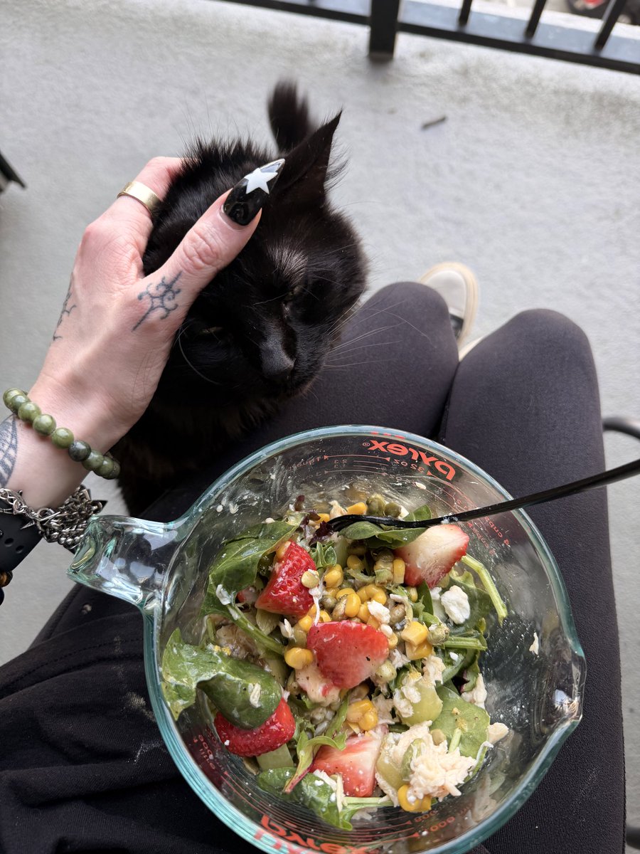 raymidnightbb's tweet photo. Enjoying my salad with my pussy 🐈‍⬛ https://t.co/6ZheASnUfy