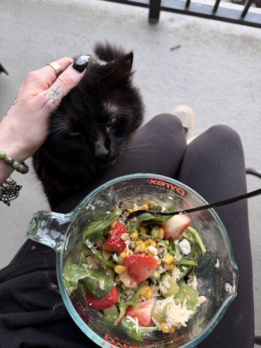 raymidnightbb's tweet photo. Enjoying my salad with my pussy 🐈‍⬛ https://t.co/6ZheASnUfy