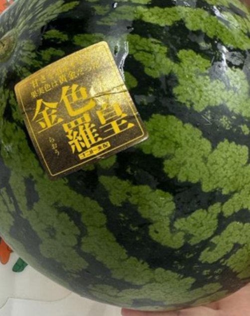 iNFORCE_JP's tweet photo. おはようございます☀

今日はなんと金色羅王という糖度がすごく高いスイカをいただきました🍉
社員一同で夏の味を楽しみました、ありがとうございます。

＃企業公式相互フォロー https://t.co/d5ldBvlTO5