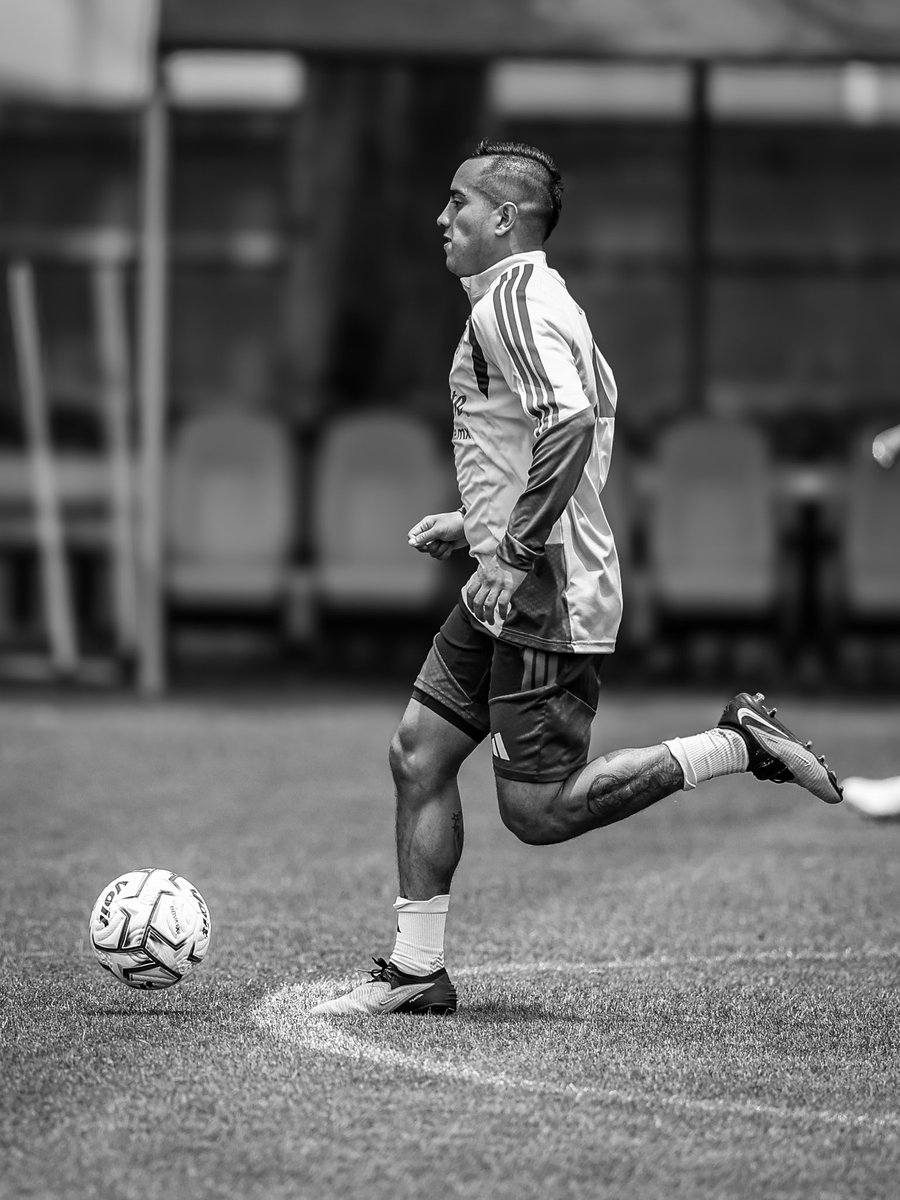 ClubAmerica's tweet photo. Hoy dejamos que el blanco y negro hablen por sí solos. 📸⬛️⬜️
Entre el negro y el blanco existen 256 matices de gris. ¿Cuántos alcanzas a ver? 👀🦅 https://t.co/v25OCjCgEp