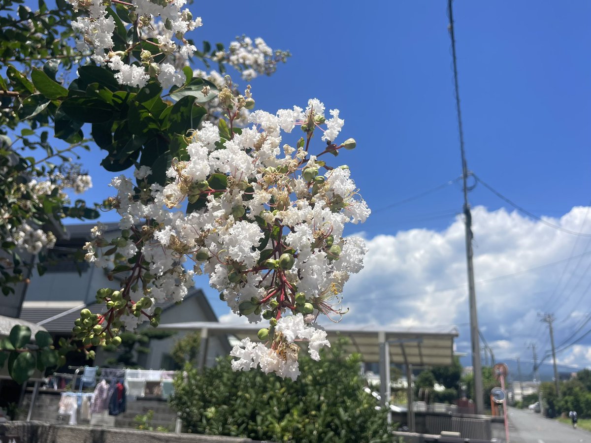 yasuhirochiba's tweet photo. https://t.co/FikRONrNDO