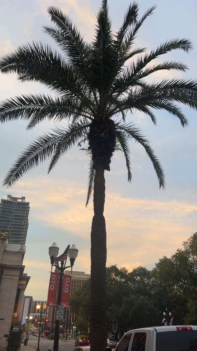 yourstrulyabbs_'s tweet photo. My last night in Florida ; I’m going to miss this 😩🌴🗣️‼️✈️ https://t.co/veyn3CAovz