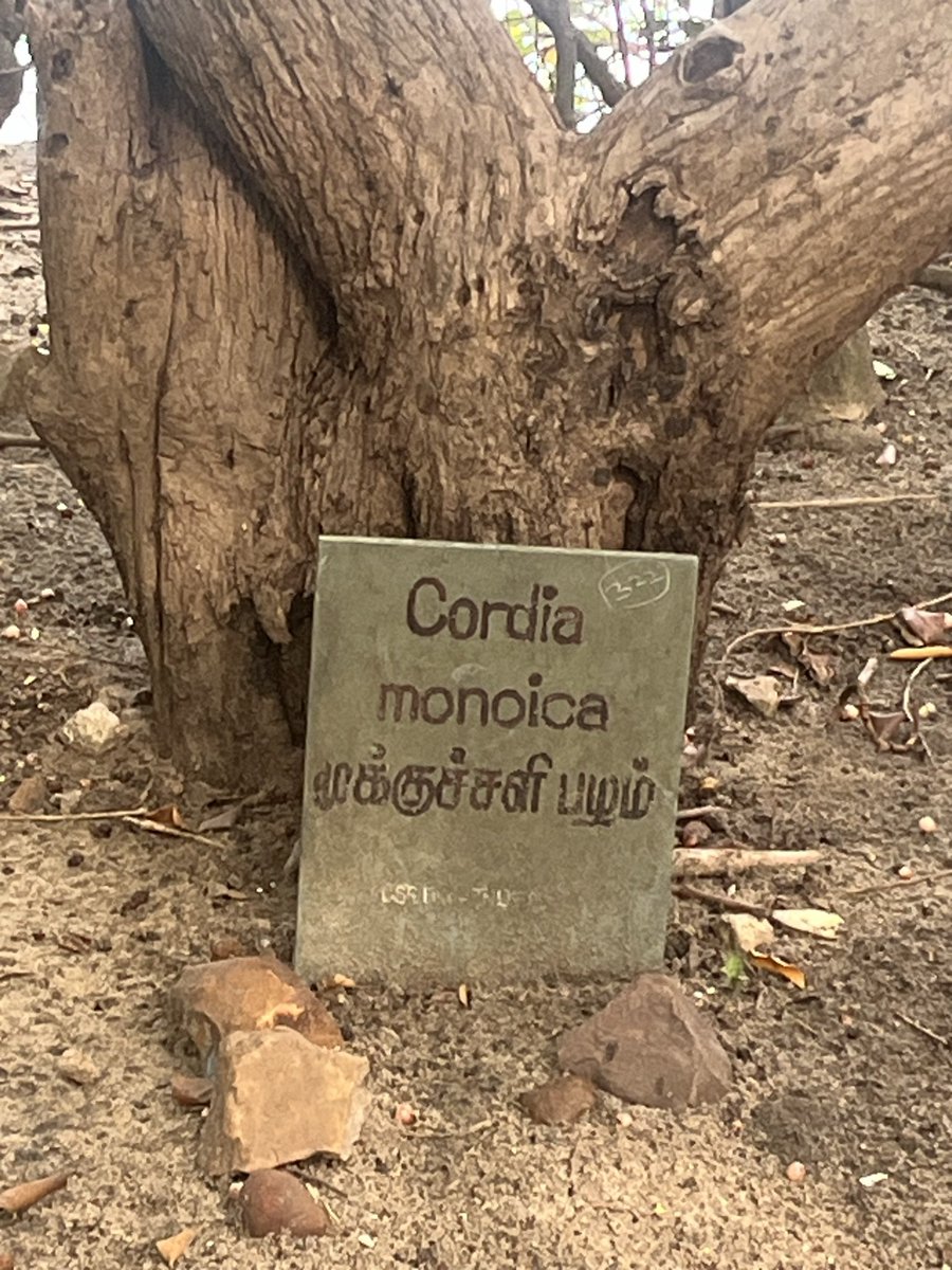 shilparathnam's tweet photo. Blessed are those who can read Tamil https://t.co/20wN6PCKIu