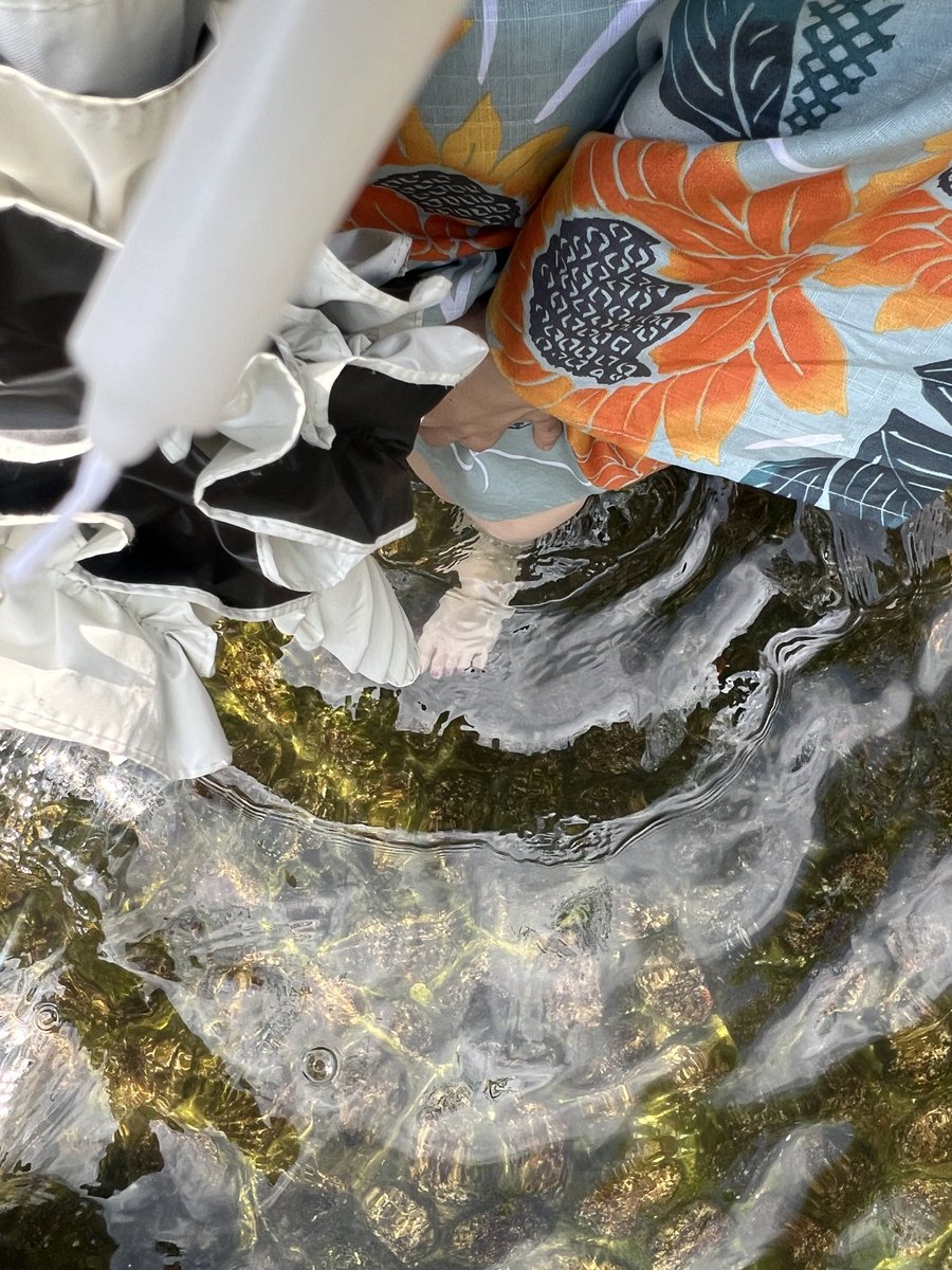 uucachan's tweet photo. みたらし祭り〜⛩️✨
沢山の罪と穢れを流してきて、御心酔もいただいて心も体もきれいになった！(はず！)

顔がどうしてもおもろくなるのなんでなん…
たすけて😅 https://t.co/z9apQCB2vq