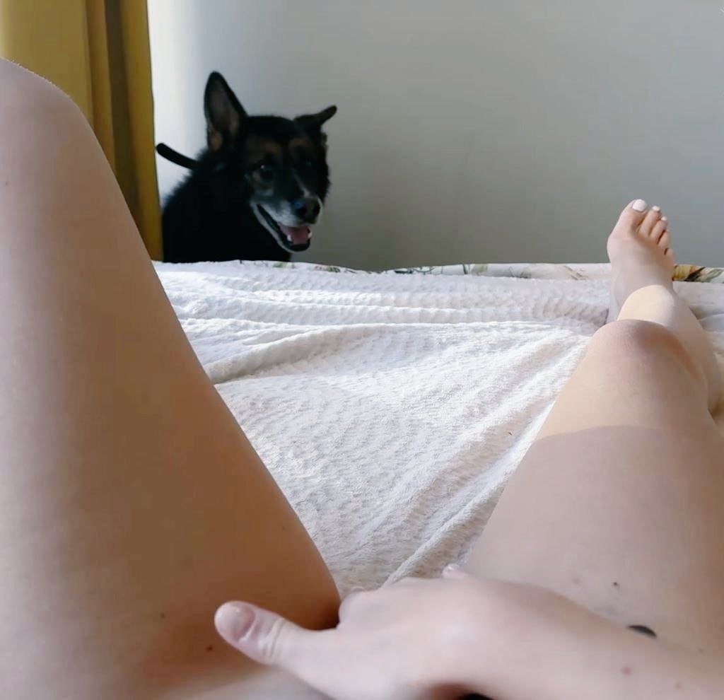 Solomonsstf's tweet photo. Come be part of our adventures , a lot of magic happens here with my favorite hound 🐾🐶💦https://t.co/hWOMEAQubM https://t.co/WilQjIrtpZ