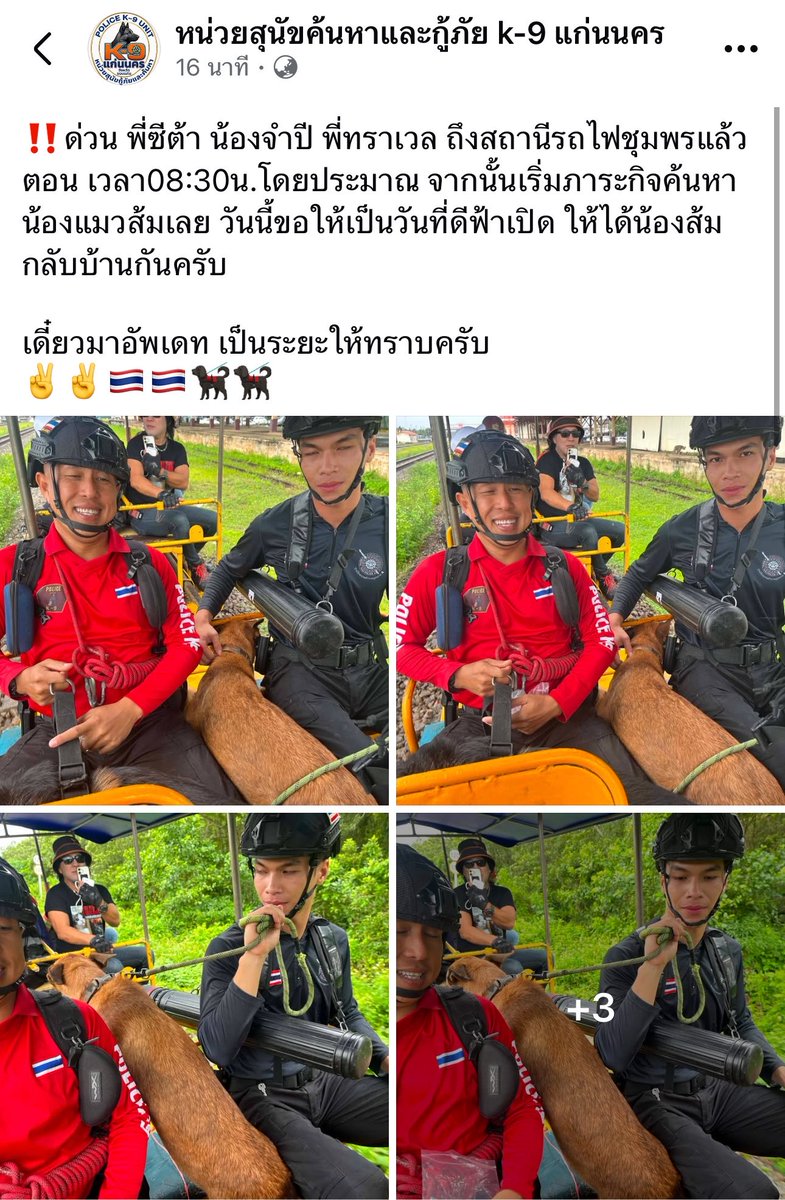 tonever22's tweet photo. ขอบคุณมากๆนะคะ ขอให้ภารกิจวันนี้สำเร็จ และขอให้ค้นพบน้องสีส้มนะคะ 🙏🏻🐕‍🦺🐈

#แมวหายบนรถไฟ https://t.co/18E0FTlTZM