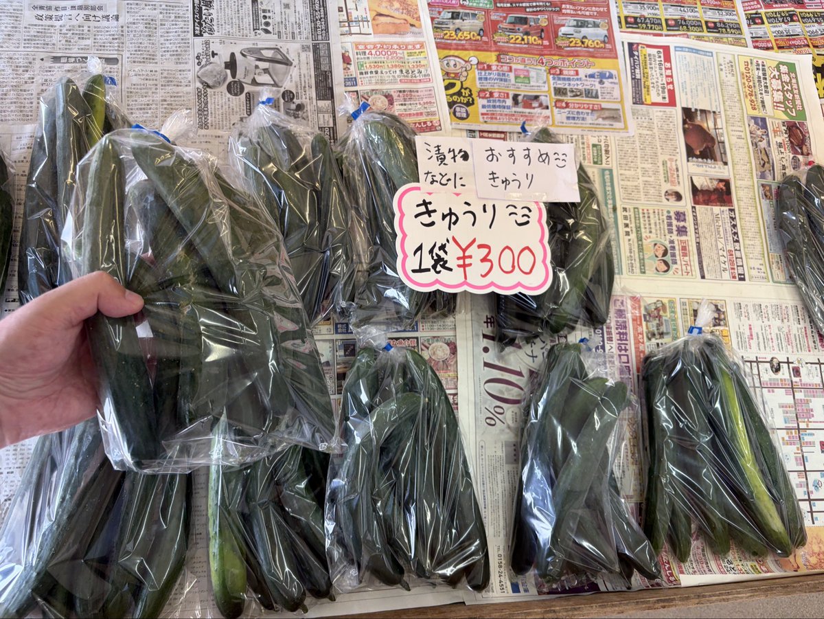ryo4503's tweet photo. ゆうゆう野菜直売所営業中です
＼( ´･ω･`)┐🥒🧄
写真は正午現在販売している
野菜です
探している方いたら
教えてあげてください
お待ちしてます
#湧別
#野菜
#切り花
朝採り
#きゅうり
#ミニトマト
シソジュースに
#赤紫蘇
#紫玉ねぎ
#にんにく
#キャベツ https://t.co/1Mgy6dYkmi