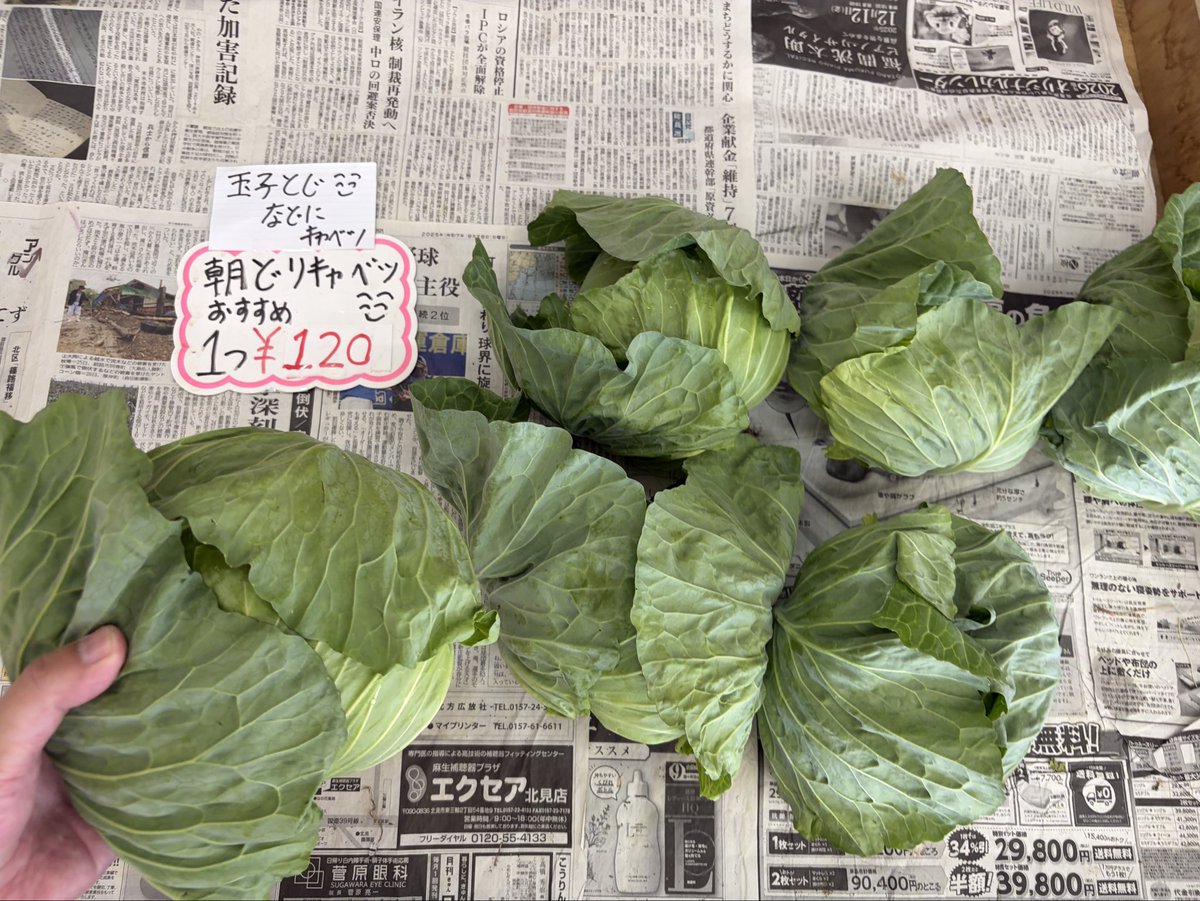 ryo4503's tweet photo. ゆうゆう野菜直売所営業中です
＼( ´･ω･`)┐🥒🧄
写真は正午現在販売している
野菜です
探している方いたら
教えてあげてください
お待ちしてます
#湧別
#野菜
#切り花
朝採り
#きゅうり
#ミニトマト
シソジュースに
#赤紫蘇
#紫玉ねぎ
#にんにく
#キャベツ https://t.co/1Mgy6dYkmi