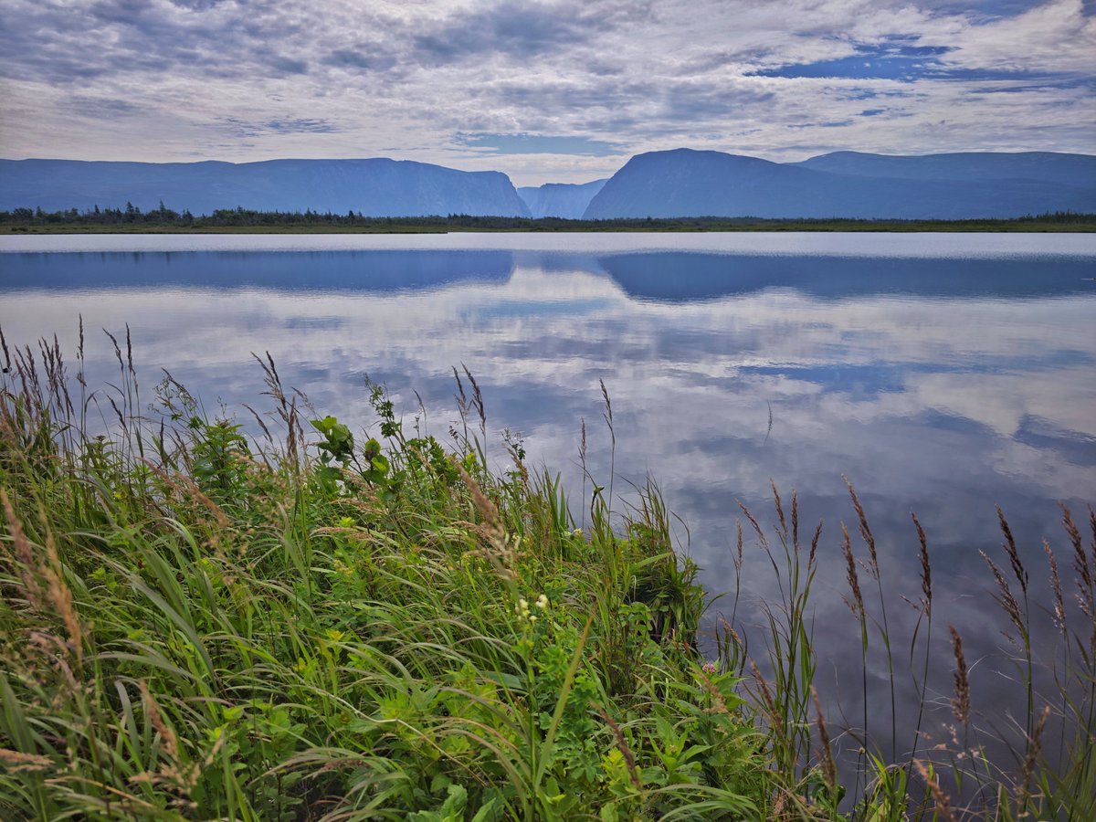 dereklee0329's tweet photo. #Newfoundland Day 4 Gros Morne - Saint Lunaire-Griquet
上午离开南岸去往Gros Morne最著名的Western Brook Pond游船，这是罕见的内陆淡水峡湾，是冰川刨蚀作用的结果。湖水因为地壳抬升，慢慢变成了淡水湖。岸边悬崖最高670米，湖水最深处165米。先走单程267公里进去再坐船，全程2小时。可惜天阴 https://t.co/HDO006MCP9