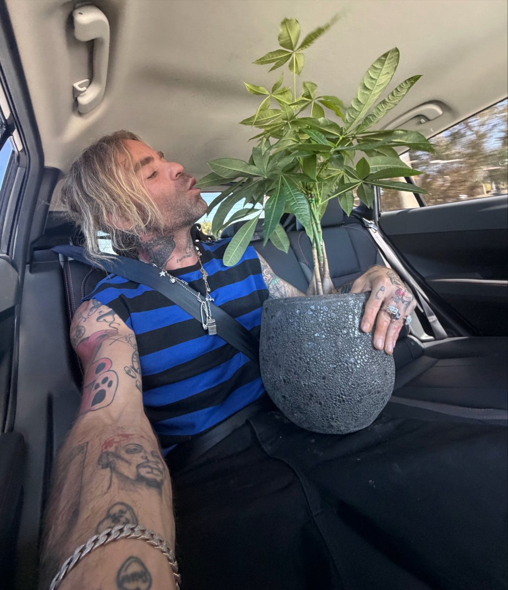 MODSUN's tweet photo. Never leave the house without a good plant. https://t.co/CzaC564wiX