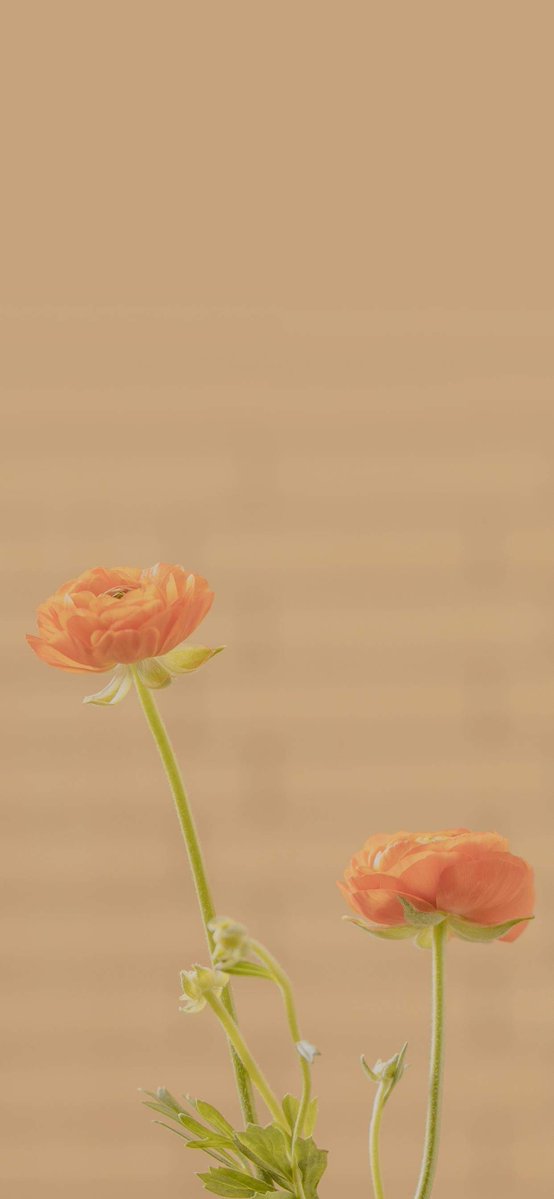 BrittaneyLaver's tweet photo. 🤍 🌸 💔 👎 Private reminder: Give your inner standard a patient response when the work feels boring. Stay patient. https://t.co/FiDgNm5NTY