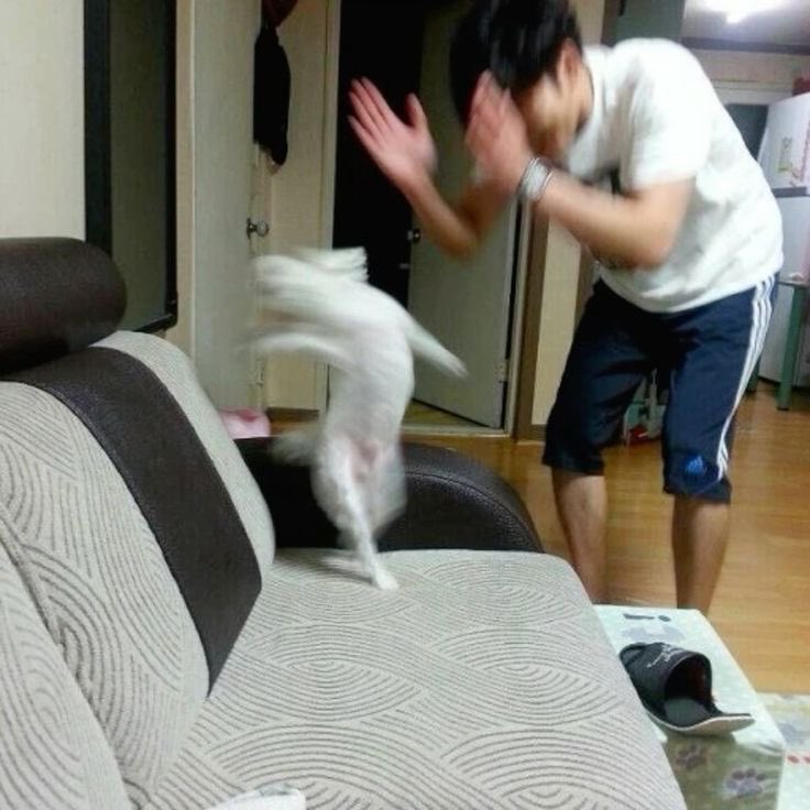 m1ckym2's tweet photo. @tokimahki 남수님 너무 관심잘주셔서 저 이렇게됨 트위터 들어오는 타이밍도 비슷한것 같구 https://t.co/Flo7Fbrd11