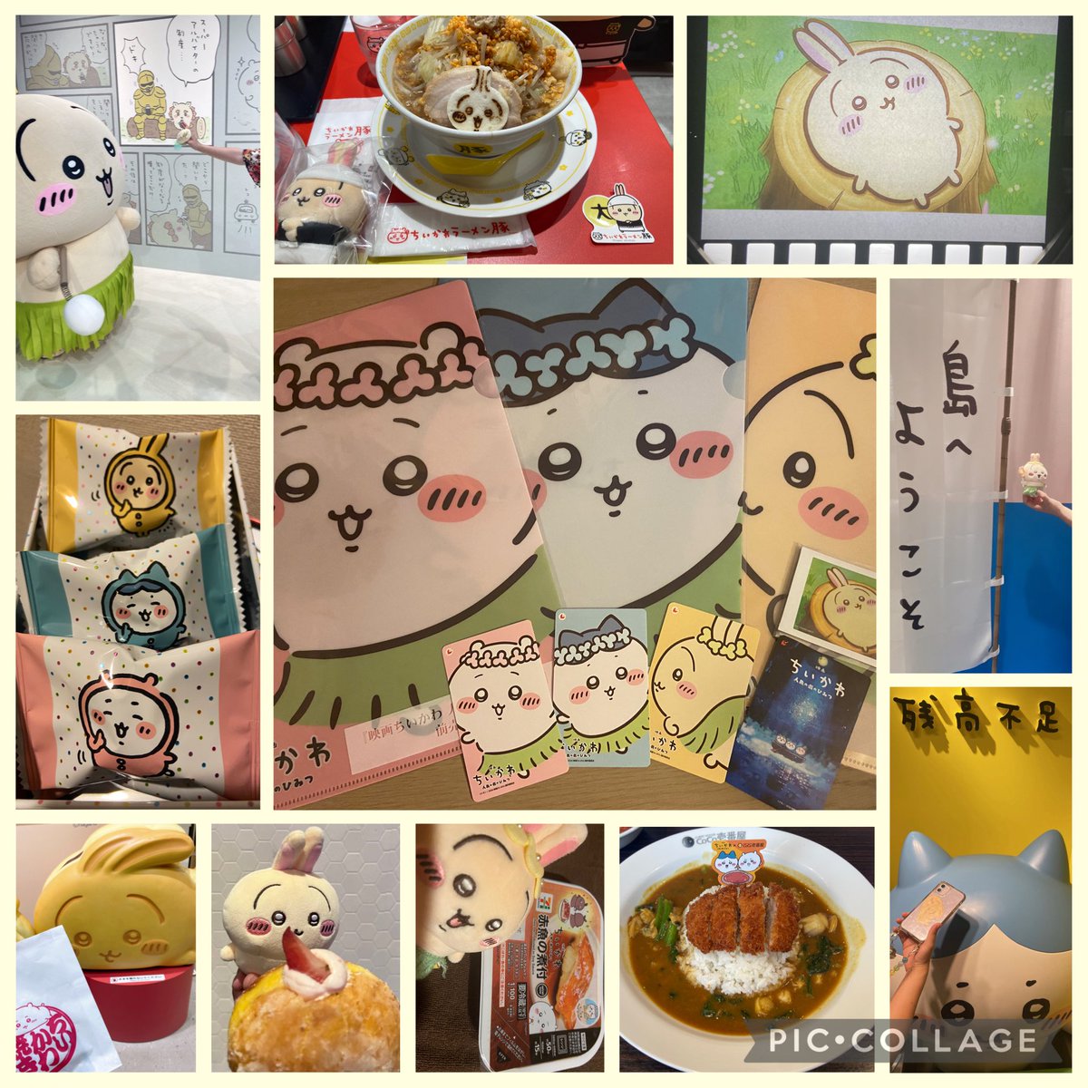 どんぐり tweet media