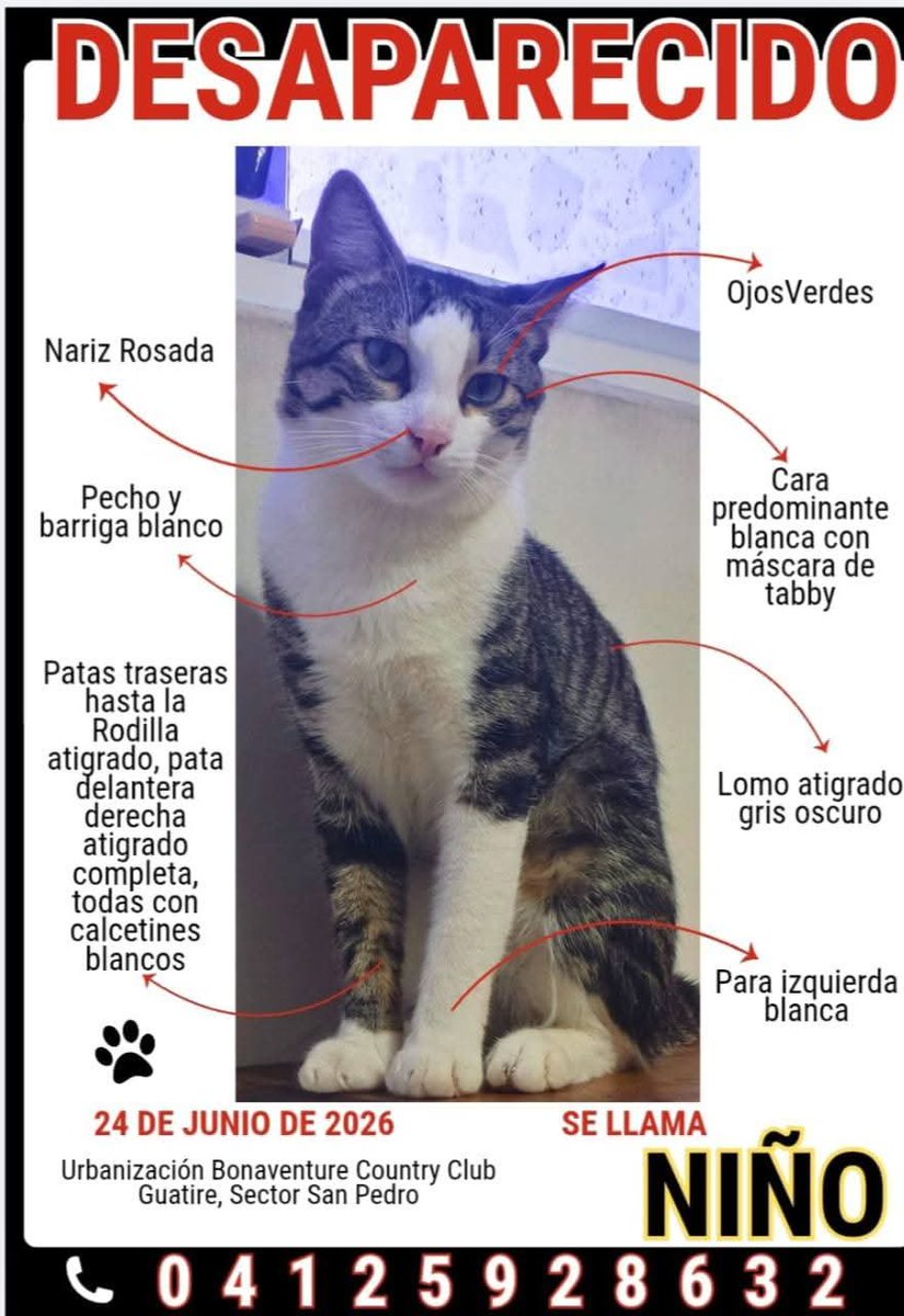 PerroUsuario's tweet photo. Se sigue buscando a Niño en Guarenas, sector San Pedro https://t.co/Nez26dZACl
