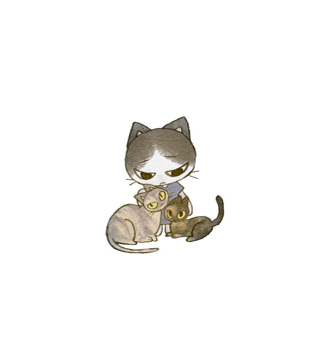 chaa_0319's tweet photo. 😿 https://t.co/GNyO6yF00c