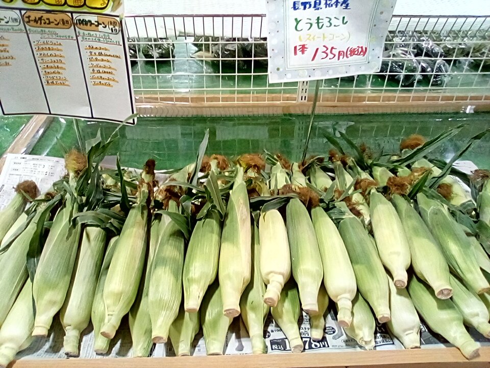 Alps_Horigane's tweet photo. 過ごし易い気温でしたが、また暑くなりそうですね😞💦
今日も夏らしいお野菜が賑わっております❗
店内涼しくなっておりますのでごゆっくり
ご覧ください😊
ご来店お待ちしております😃
#アルプスほりがね　#道の駅　#夏野菜 https://t.co/YDbaNTjYBt
