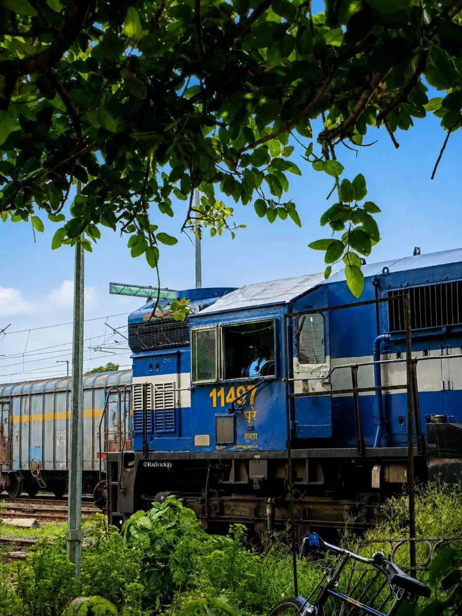 railvickzy's tweet photo. Spotted the mighty 11497 WDM-3D ALCO beast resting at the unelectrified goods yard of Ranaghat Junction! Proudly under Howrah Shed, this 3300 HP blue-white titan continues to rule with its legendary roaring chugs and smoke. Pure diesel nostalgia! #WDM3D #ALCO #IndianRailways https://t.co/WsBrJ4jaEr