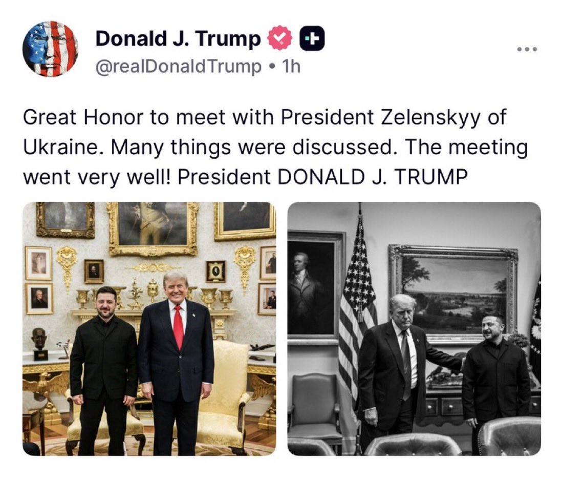 Laura Loomer tweet media