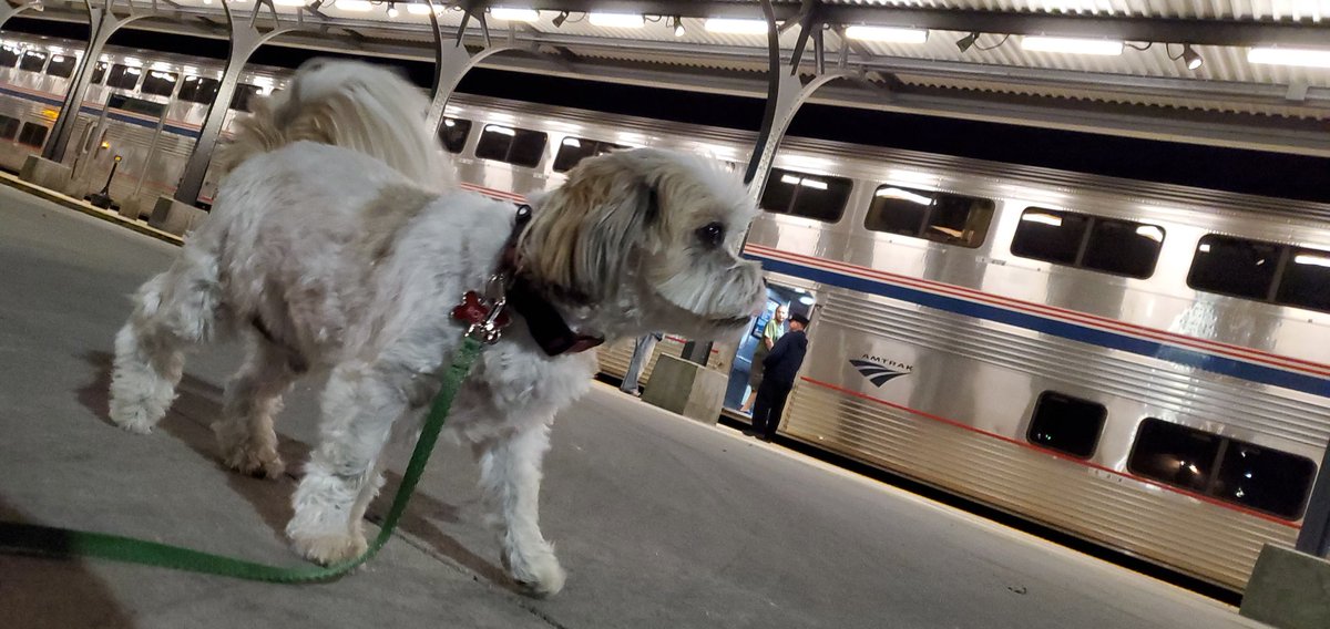 kickaturkey29's tweet photo. @justdawn365 @Amtrak The Omaha station is staffed and there are other passengers that board every night. It's also very safe. I actually lived across the street from that station for a few years around 2024. I used to walk my dog, Robot, over there at train time. https://t.co/JiGmaDi5nl