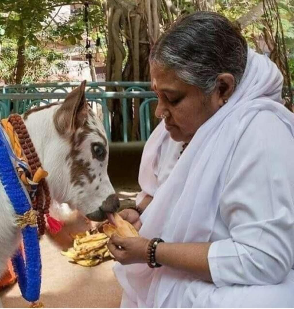 Hindusthan666's tweet photo. गुरू ब्रह्मा गुरू विष्णु, गुरु देवो महेश्वरा गुरु साक्षात परब्रह्म, तस्मै श्री गुरुवे नमः

Gurupoornima Wishes https://t.co/Un0fXbVg5L