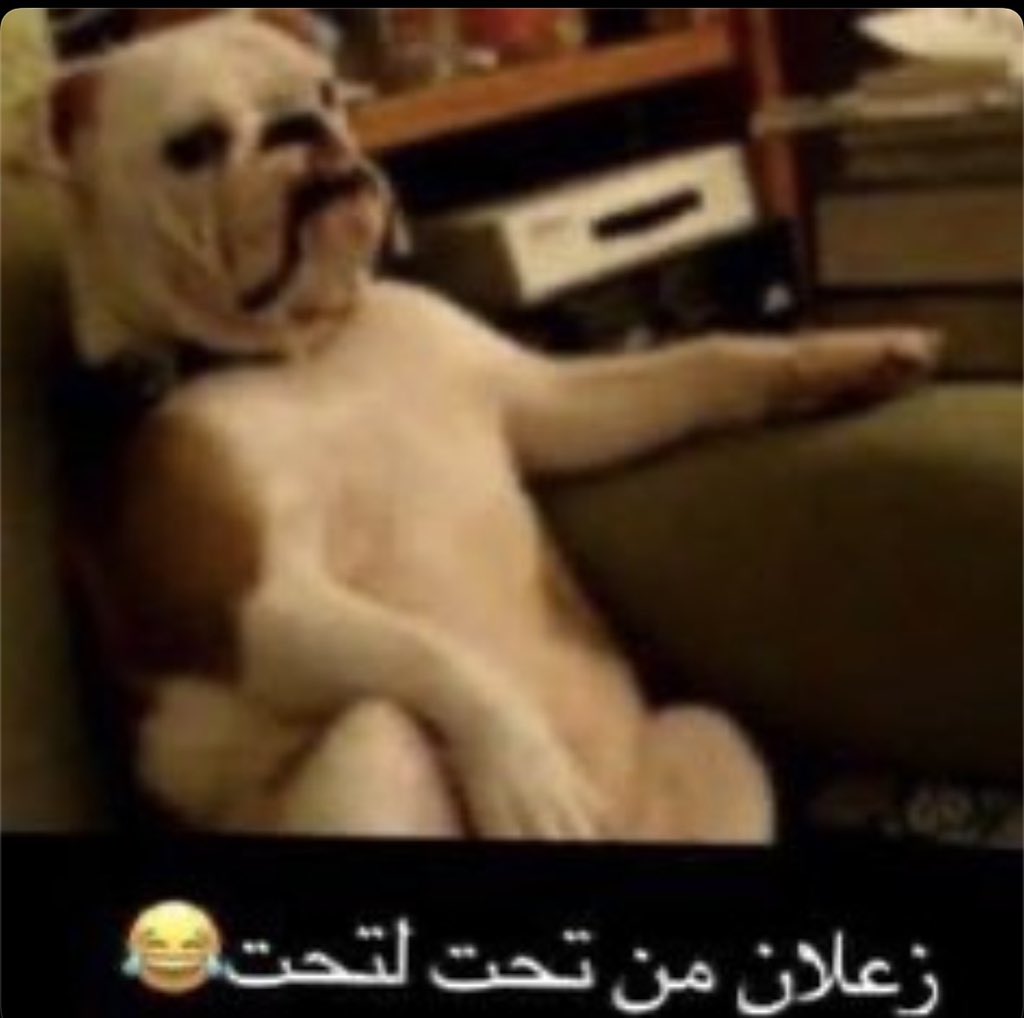 iTzExit7's tweet photo. قصف الحوثي باليمن وقصف حزب الله بالعراق

أذناب إيران في البحرين عشان مايجيهم الدور https://t.co/JVy1aDJNHS
