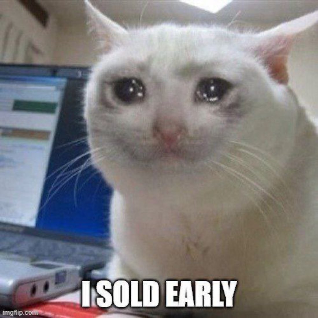 CryingCat__RH's tweet photo. Just getting started 

$CryingCat https://t.co/bnIbDuPfdg