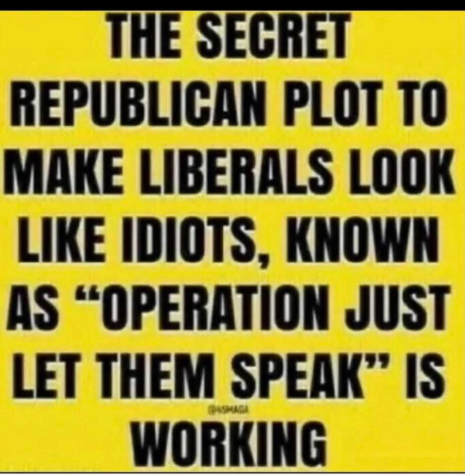 stahe21's tweet photo. @catturd2 https://t.co/VyEGWsf6qf