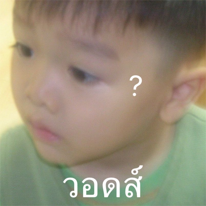 _apgujeongboy's tweet photo. วอดส์ https://t.co/dcgMJLI3MM