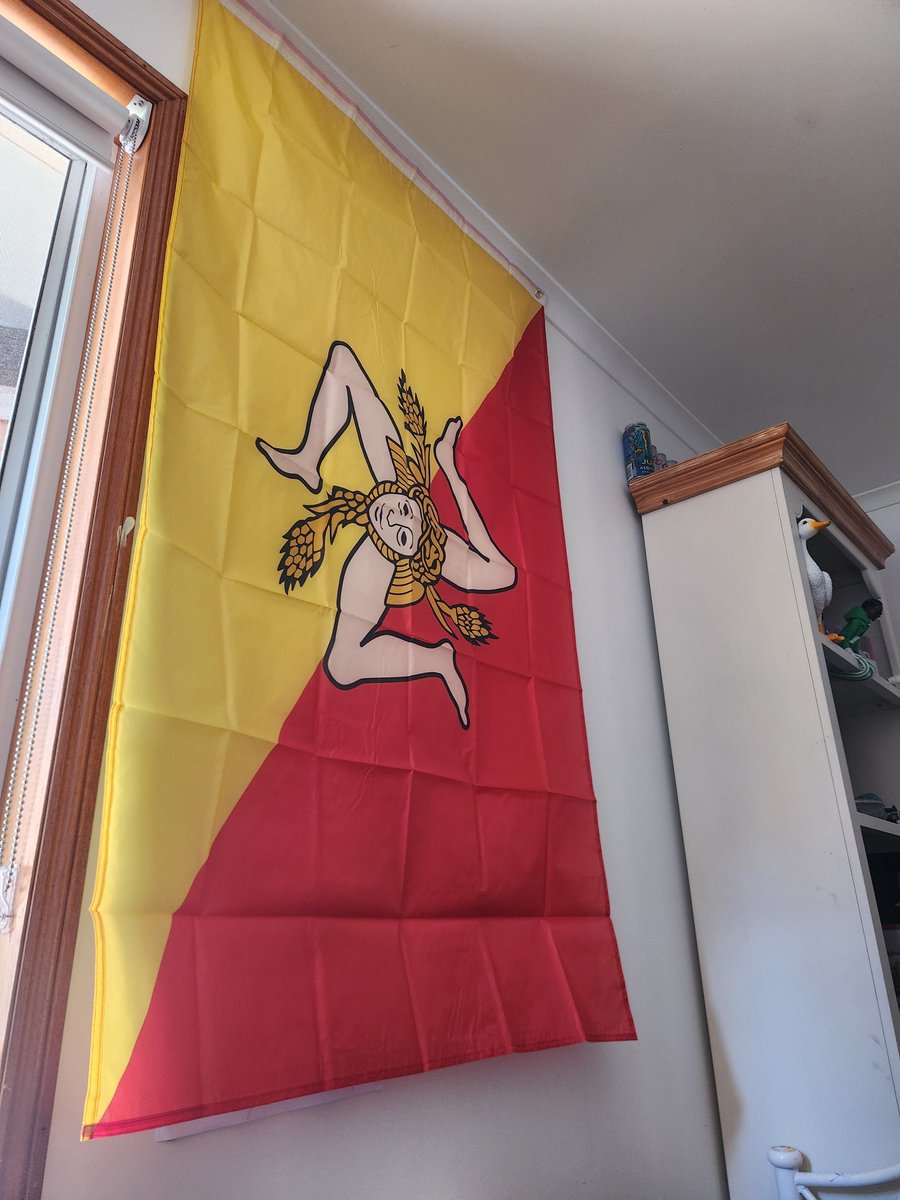 Ilsgno's tweet photo. Try being more patriotic than a sicilian level impossible 
3 of my family have the flag tattooed on them https://t.co/XzZHcSspb9