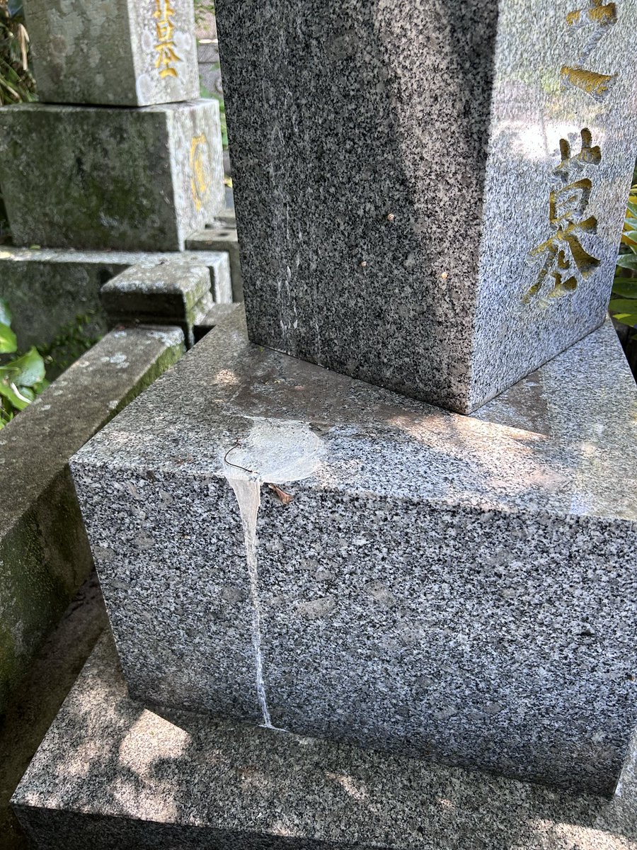 haro0202's tweet photo. 地震の影響で仕事が休みになったのでお墓の確認へ。
ズレたり倒れたりしているお墓を自分が出来る範囲で直してきましたが、皆さんも暑い中の作業くれぐれもご注意下さい。
#令和8年熊本地震 https://t.co/fWystvmK24