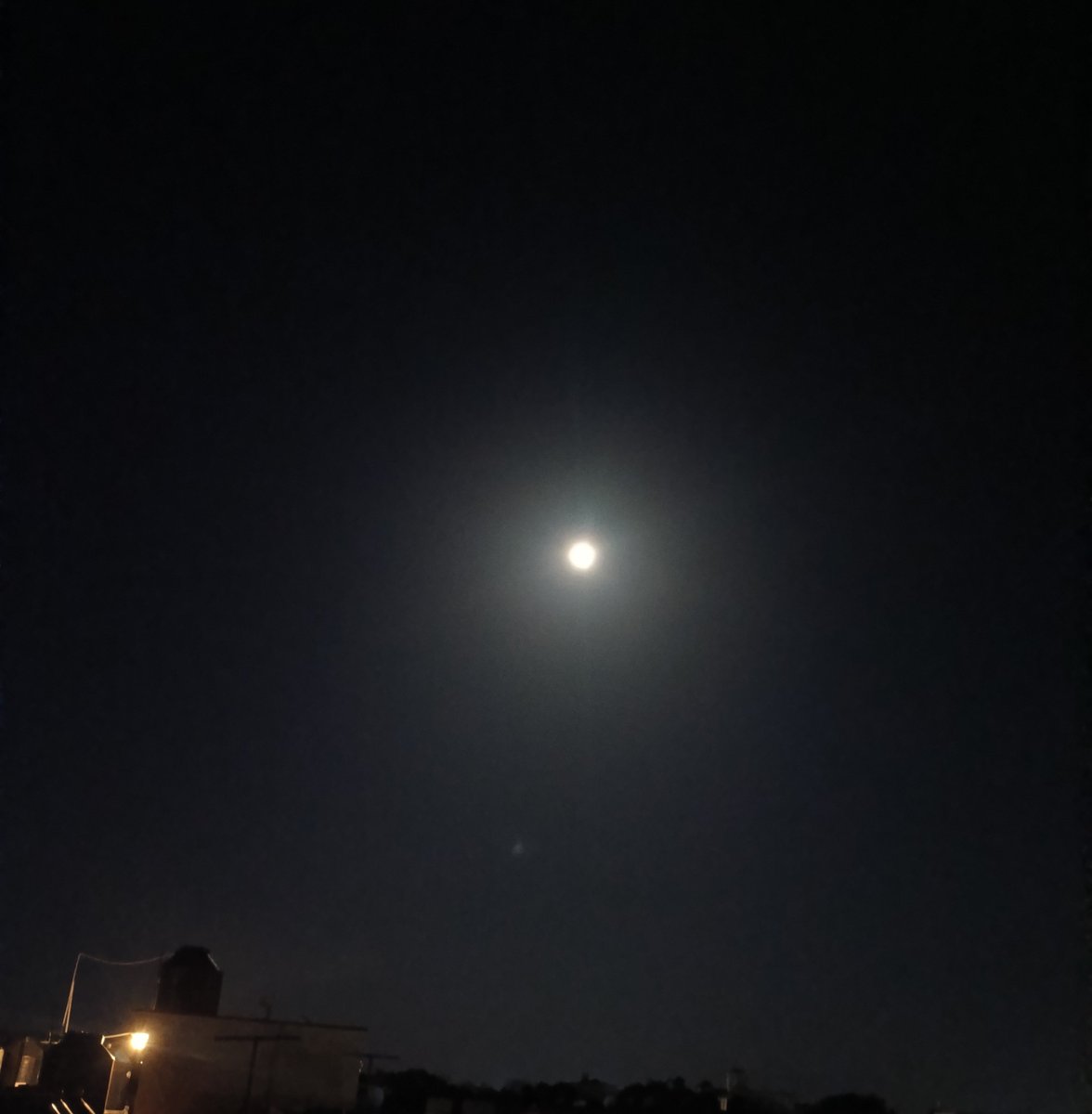 Gummy_pwp's tweet photo. Luna llena 🌕 https://t.co/EIoiSapm6B
