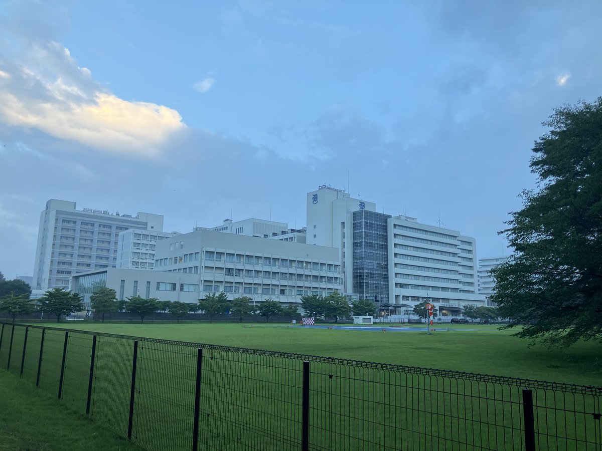 7k4fra's tweet photo. こんにちは、獨協医科大学430。
連日ちゃんと散歩に出かけられてる自分、偉い！（笑）
昨日は無かったはずのキノコ？が生えててびっくりしました。
ものすごい成長スピードです💦 https://t.co/awqaRMuoyG