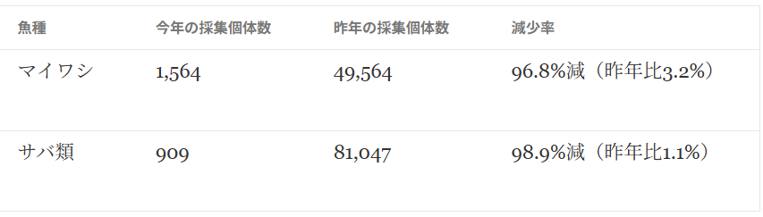 katukawa's tweet photo. サンマ以上に深刻なのが、マイワシとサバ類。どちらも採集個体数が95％以上減っている。「激減」というより、この調査海域からほとんど姿を消したと表現した方が近い。漁業者から、マイワシの群れが消えたと聞いてはいたけれど、それが調査データにもはっきりと表れた形だ。
https://t.co/1ZqRjiXn6C https://t.co/siEozVbhh7