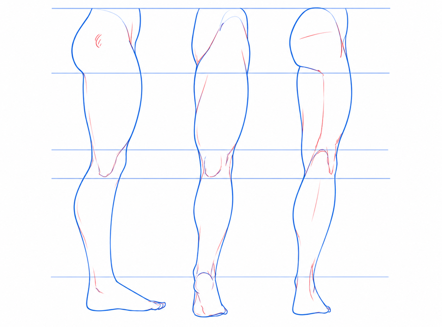 BearDesignX's tweet photo. legs in perspective https://t.co/qGyXgaHJqN