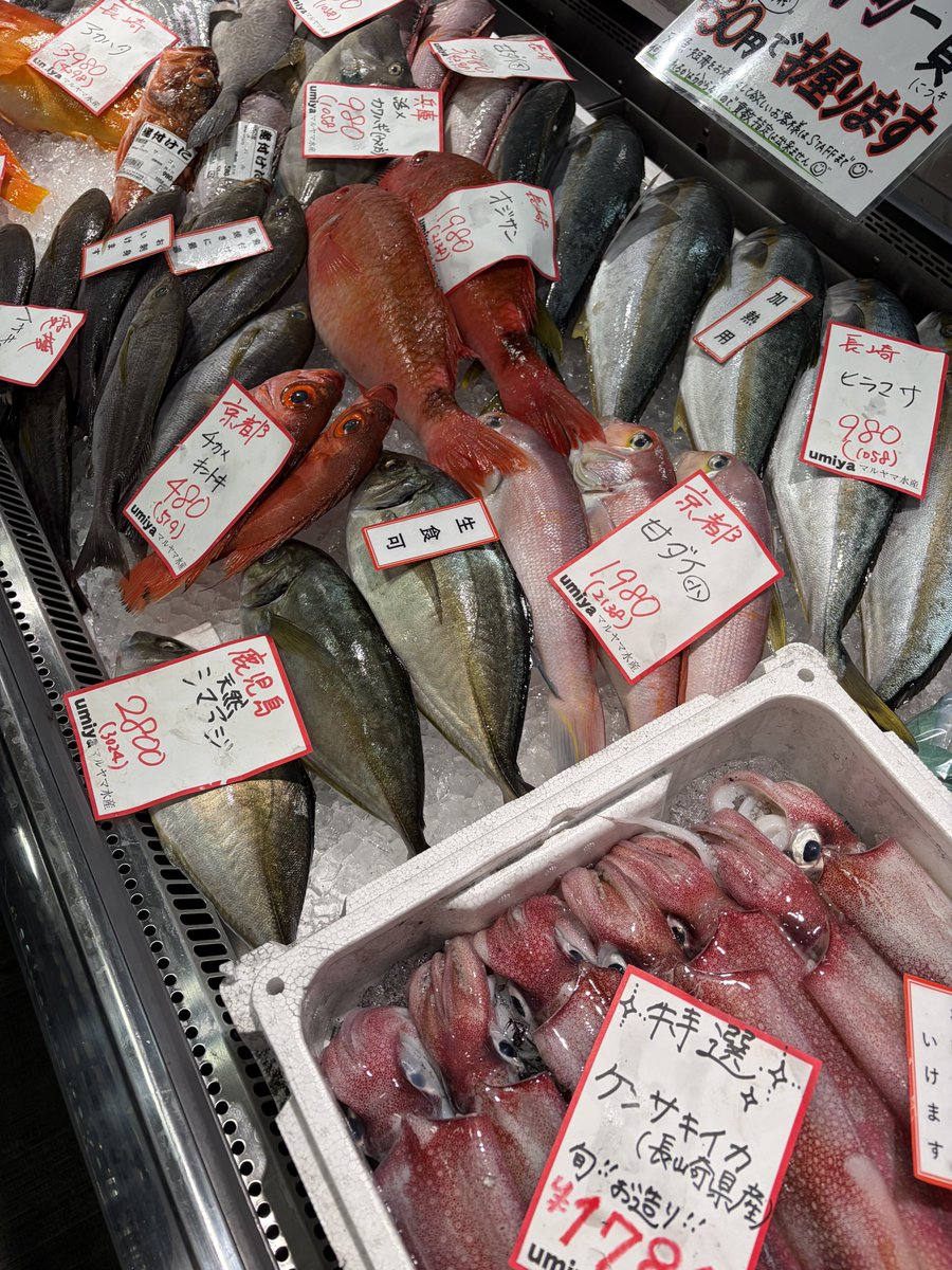 akatsuki1948's tweet photo. 久御山に新しく出来た魚屋さんに行ってみました。
うーん、鮮度的にはごく普通の京都の魚屋。私がよくいく敦賀のお店とは雲泥の差です。値段も普通。
まぁ全国の魚がある分いいのかな。捌いてくれるしね。私は自分で捌くのでその分安くしてくれるといいのにな。 https://t.co/S8CWVuEjW9