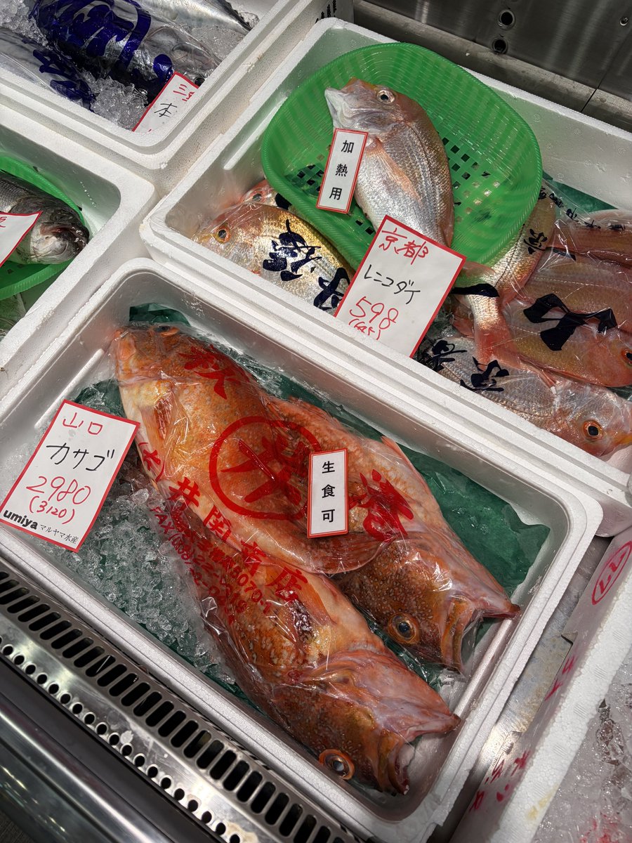 akatsuki1948's tweet photo. 久御山に新しく出来た魚屋さんに行ってみました。
うーん、鮮度的にはごく普通の京都の魚屋。私がよくいく敦賀のお店とは雲泥の差です。値段も普通。
まぁ全国の魚がある分いいのかな。捌いてくれるしね。私は自分で捌くのでその分安くしてくれるといいのにな。 https://t.co/S8CWVuEjW9