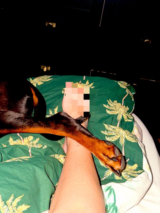 kinksBella's tweet photo. Home is wherever your paws are 🐾And luckily you’re always here 📷❤️
💬💬https://t.co/qRcTjcKZxc
.
.

#dogs #cats #bhfyp #pet  #doglovers #unitedstates #germany #Zoophillia #grope #pardi #zootwt #Beastmode #perletti #K9girl https://t.co/WgeiROS9hM