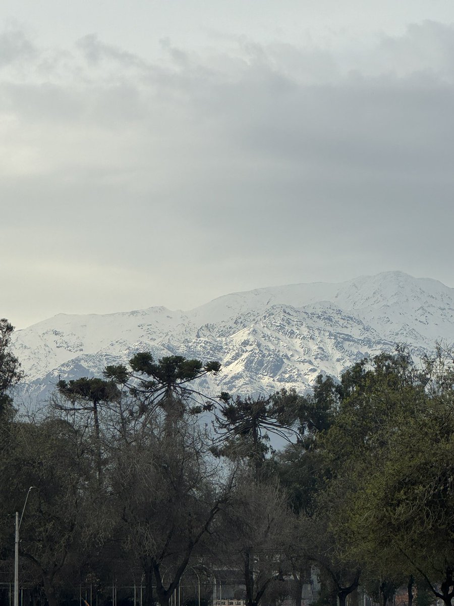 galacticxmami's tweet photo. edité esta foto que le saqué a la rosalía y puse la cordillera de fondo https://t.co/ftKkk2kEr7