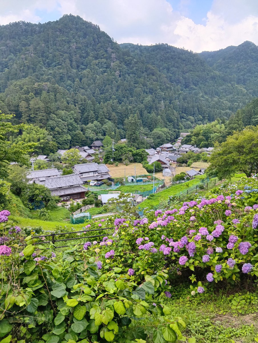 AtsukiRun's tweet photo. 6月の思い出　奈良室生
あじさい

#奈良
#室生
#室生寺
#紫陽花 https://t.co/hrCMNpXWkz