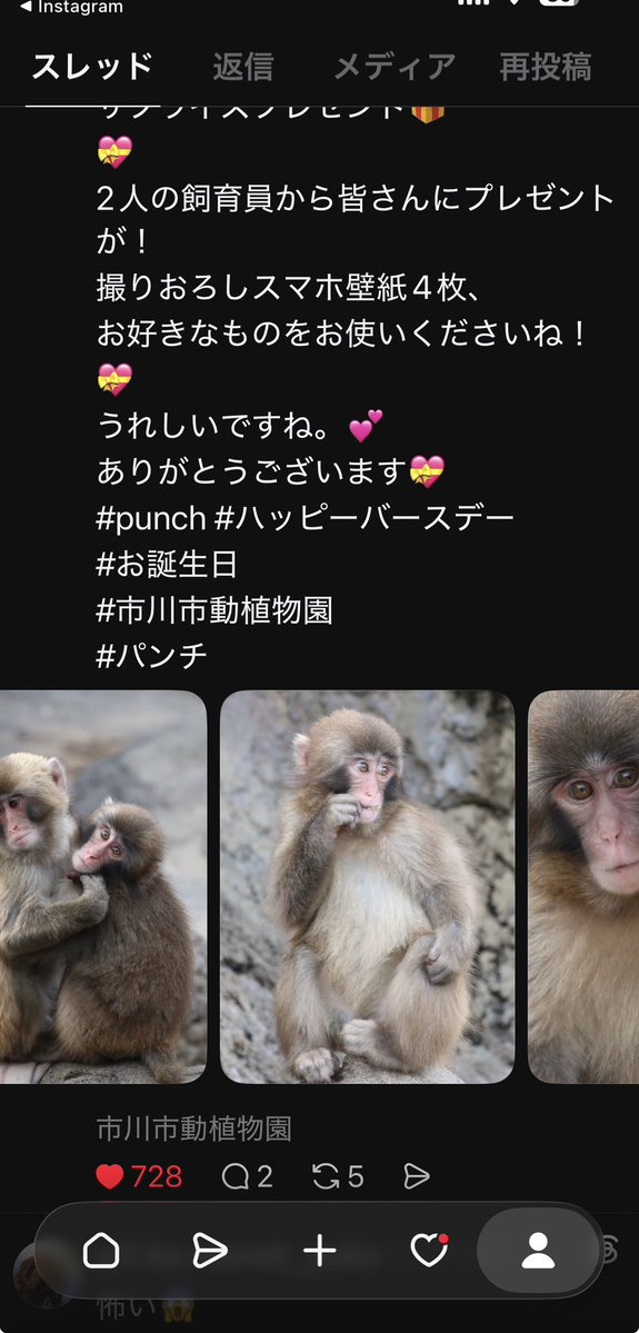 yoko tweet media