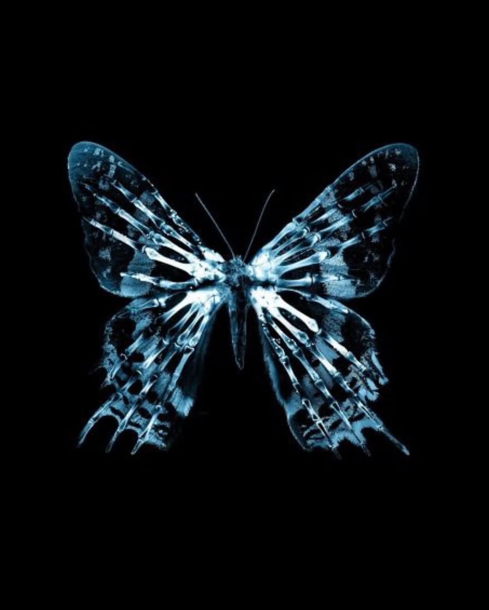 fmsworldser7c21's tweet photo. El efecto mariposa es un concepto de la teoría del caos que sugiere que pequeñas variaciones en las condiciones iniciales de un sistema, como el aleteo de una mariposa, pueden provocar grandes cambios en el futuro.

Kaiser vs Aczino, la última Batall... https://t.co/q0qXncxGDe