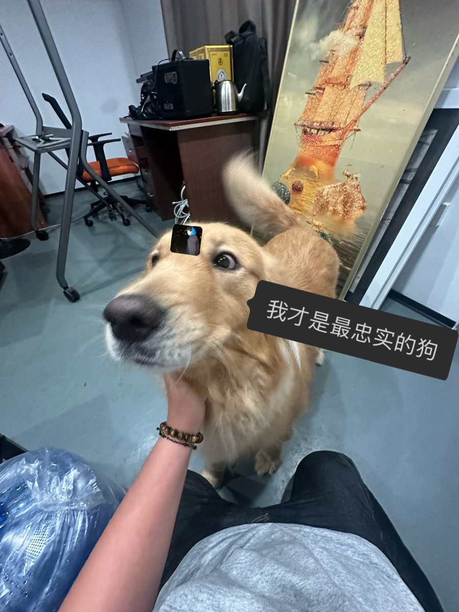 Psc_77's tweet photo. 已有小狗 https://t.co/McjliNuK1X