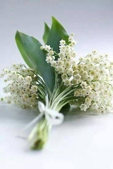 NAJDiij's tweet photo. آفعل آلجميل 💖
          وعآمل النآس بأحسان 💎
تـرآ اﻵعمار تـروح وآلطـيـب يبـقى❁♩

. https://t.co/IaBl6DsmHC