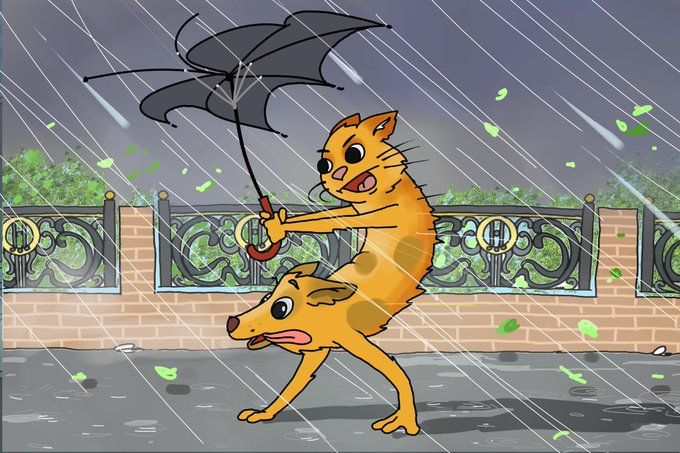 DogCatMemeX's tweet photo. Rain or shine, solana:Cbj8wDvAvbRw8McNPd7ZhUrcw8NSvsyfR4db6pL6pump  keeps moving forward https://t.co/lU2ubgJfeu