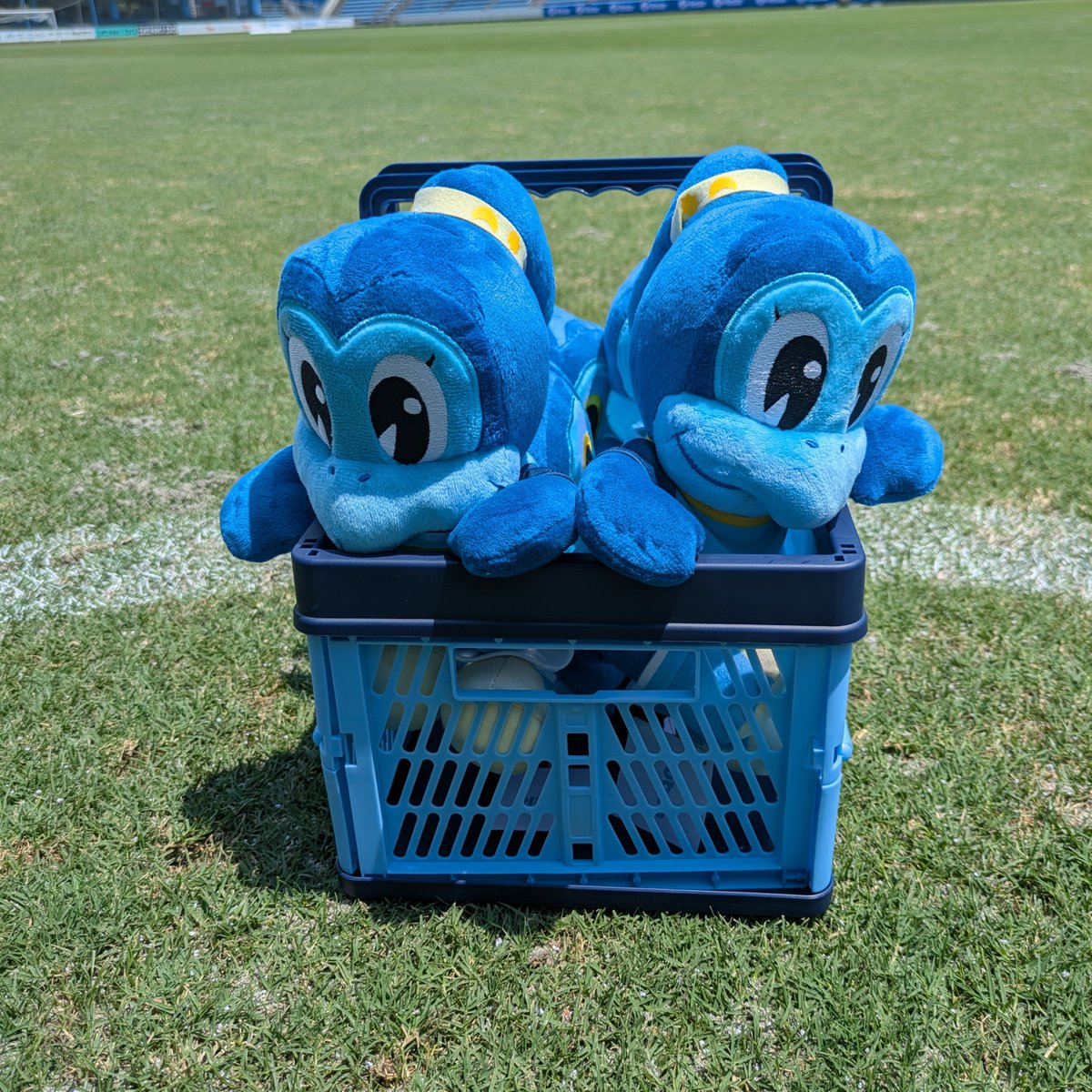 ジュビロ磐田 グッズ【公式】 (@jubilo_shop) / Posts / X