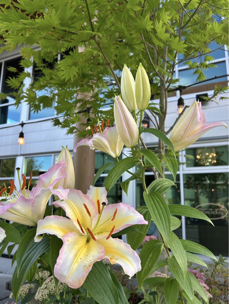 Technaturefun's tweet photo. https://t.co/0vt5SnfARO
