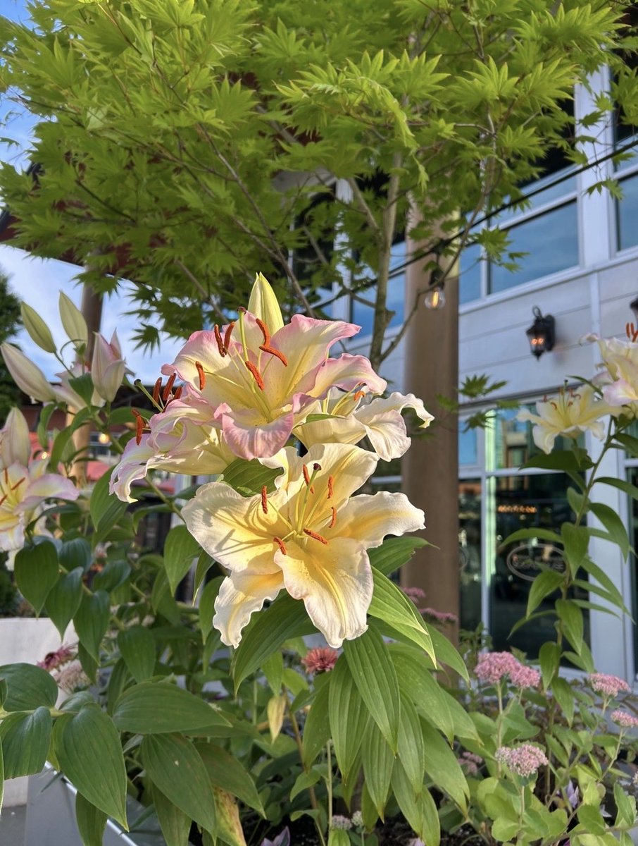 Technaturefun's tweet photo. https://t.co/0vt5SnfARO